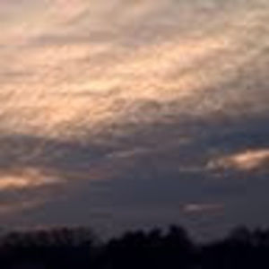 Meet your Posher, Reg